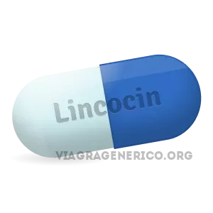 Buying_Lincocin_online